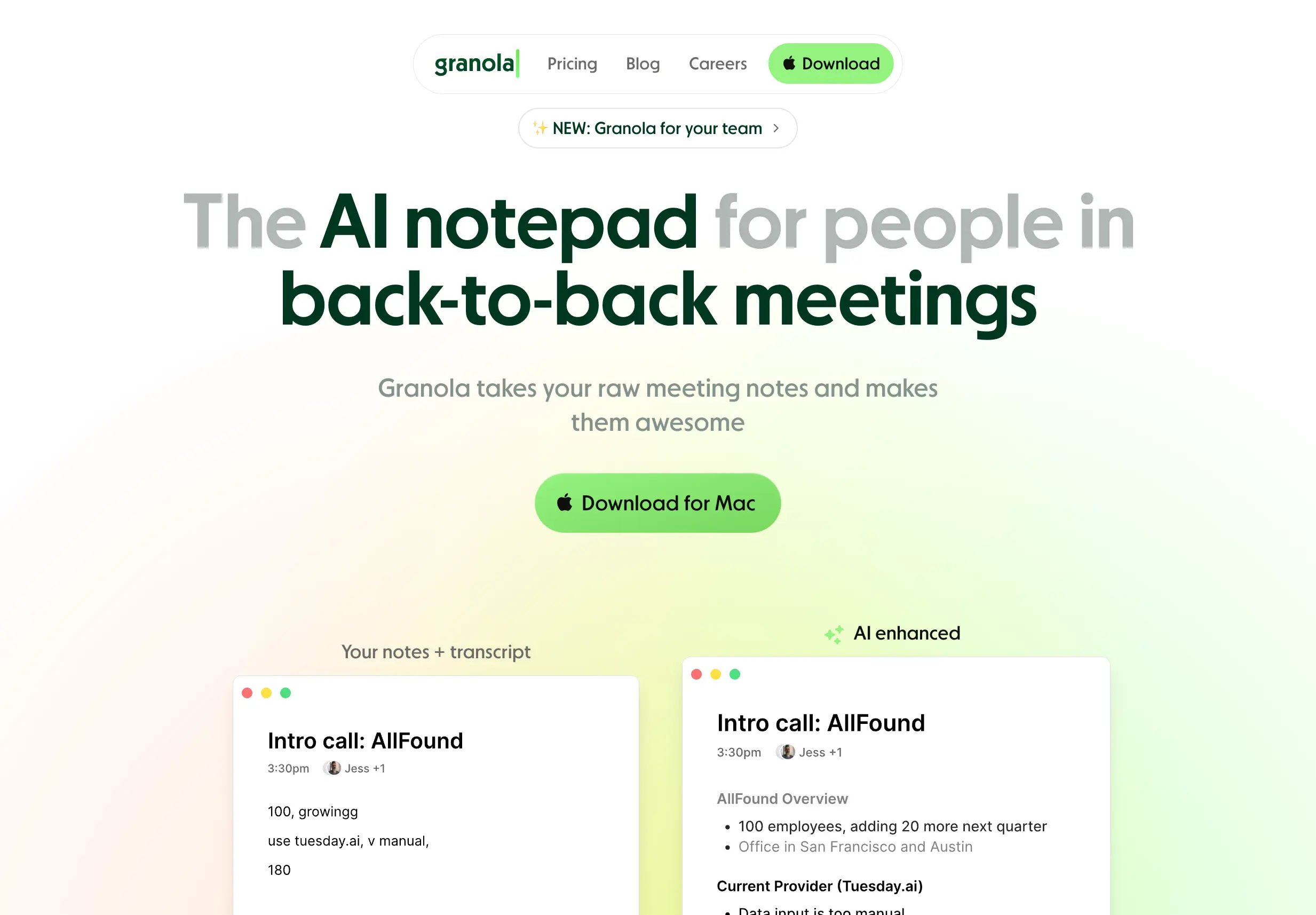 Granola AI meeting notes interface
